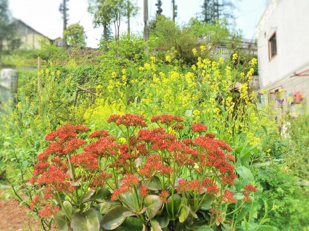 Sapa Local House Bed and Breakfast Buitenkant foto